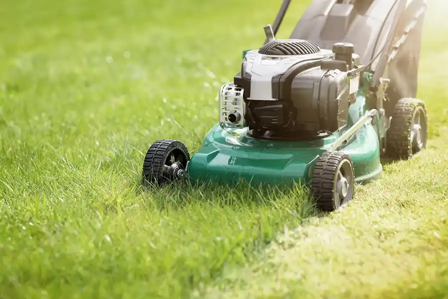 Can you mow wet grass in Trenton, NJ