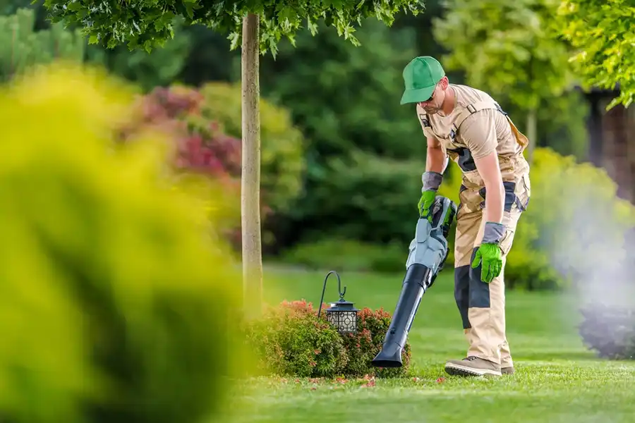 How To Clean A Backyard Trenton, NJ