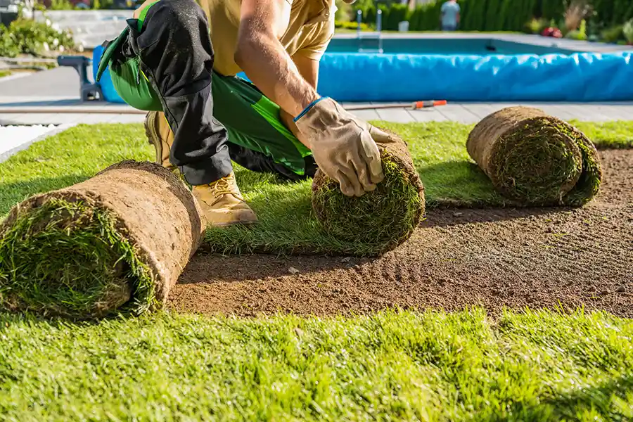 How long after installing sod can you walk on it in Trenton, NJ