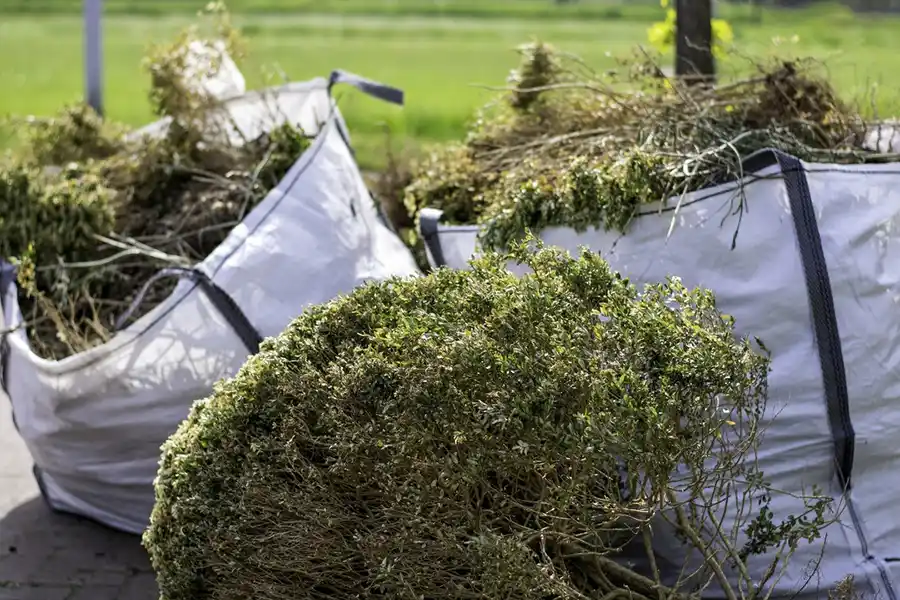 How to clear a yard full of weeds in Trenton, NJ