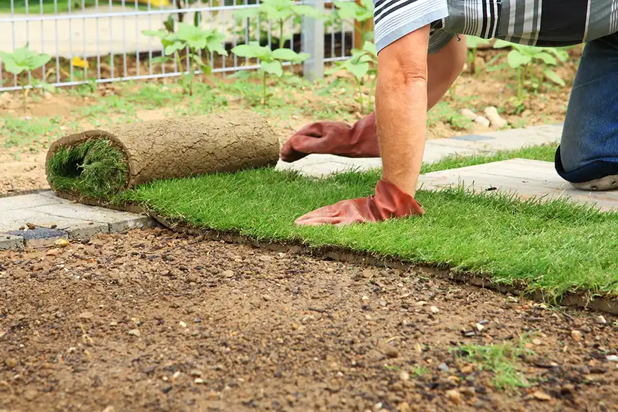 How to lay sod over existing lawn in Trenton, NJ