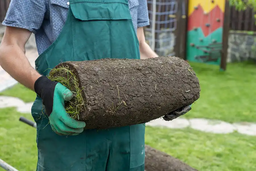 How to lay sod over existing lawn Trenton, NJ