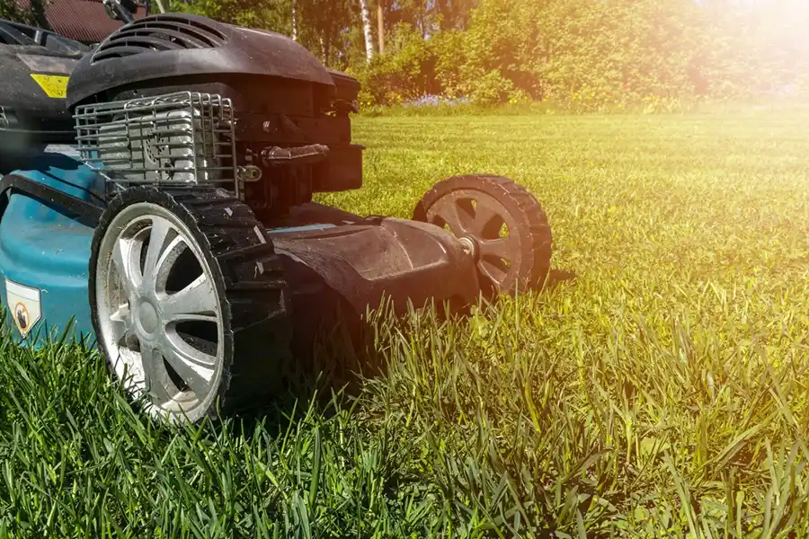 How to mow a lawn in Trenton, NJ