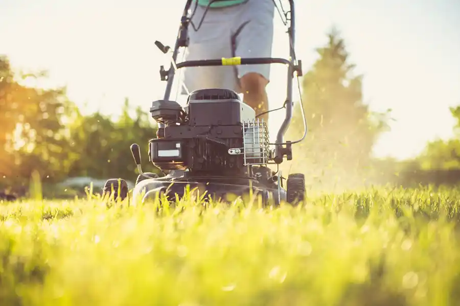 How to mow a lawn Trenton, NJ