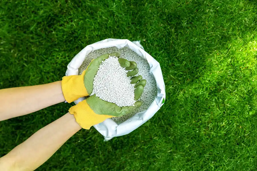 When is the best time to fertilize your lawn Trenton, NJ