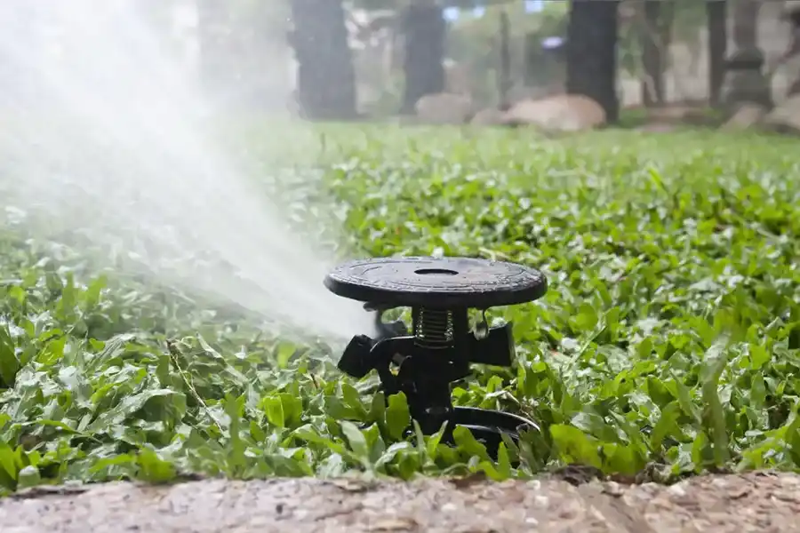 Irrigation and Sod Installation