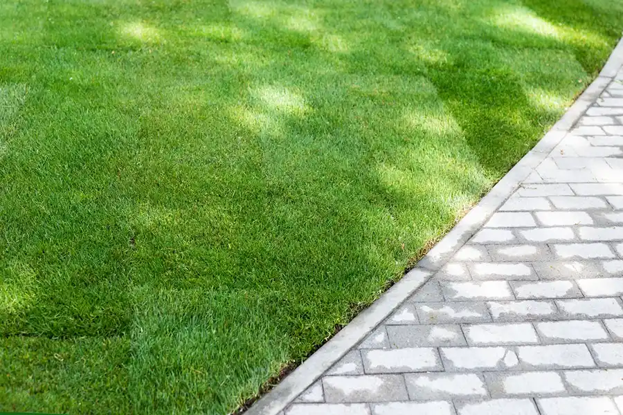 Lawn Edging and Mowing