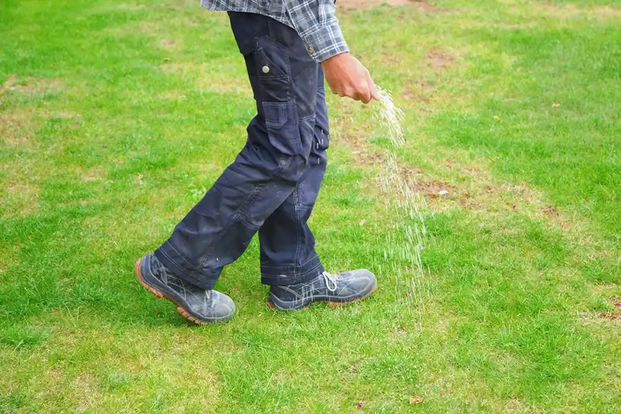 Efficient Lawn Fertilization in Trenton, NJ