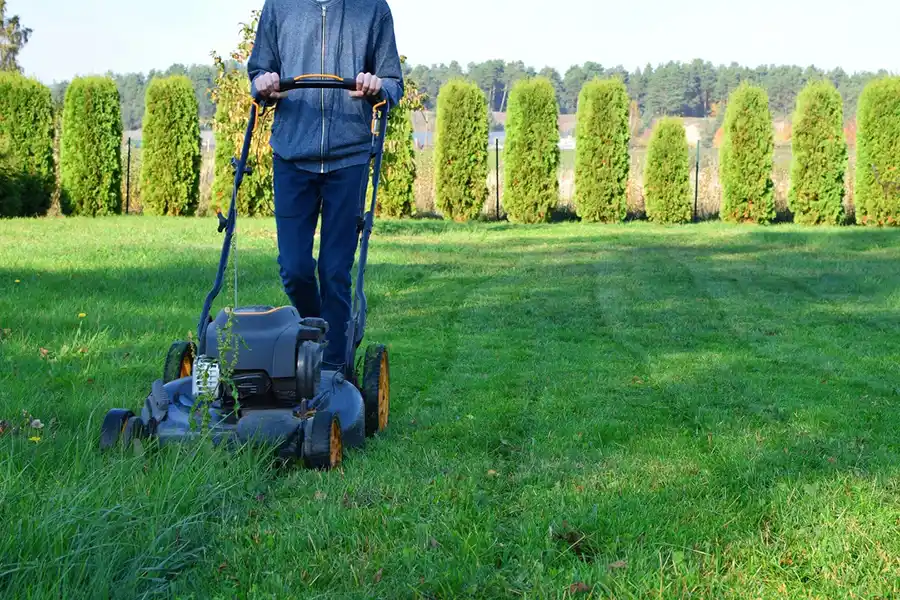 Efficient Lawn Mowing in Trenton, NJ