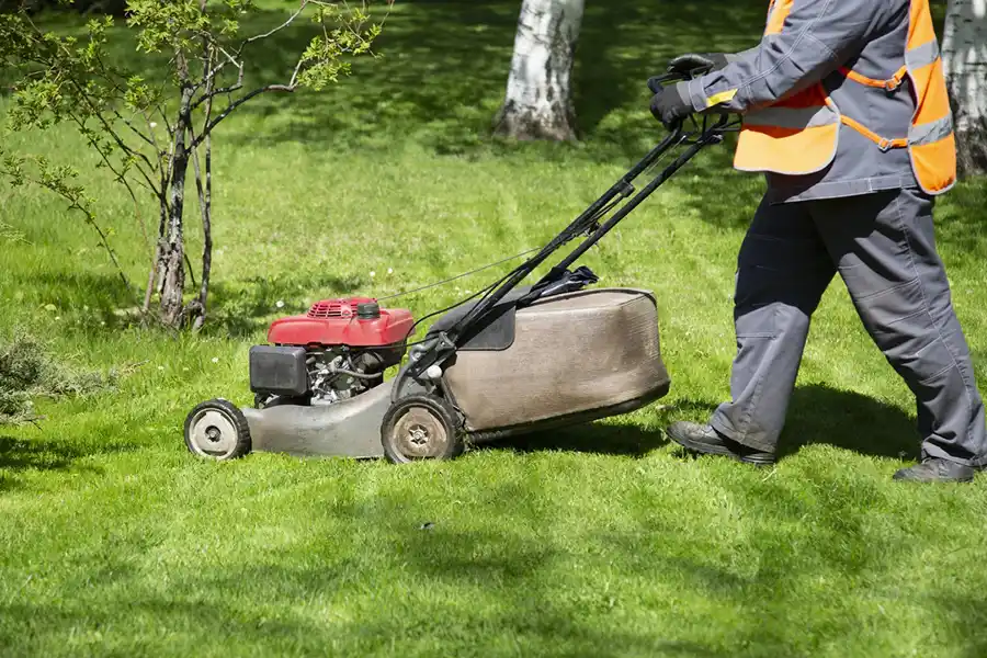 Reliable Lawn Mowing in Trenton, NJ