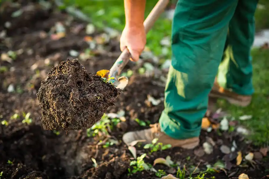 Reliable Mulching in Trenton, NJ