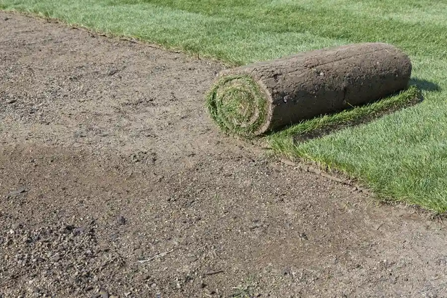 Efficient Sod Installation in Trenton, NJ