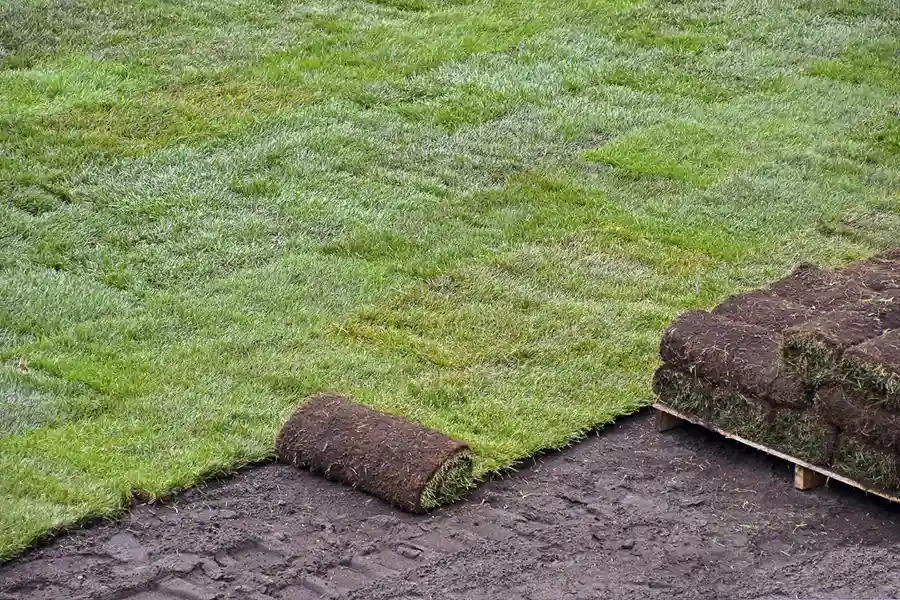 Best Sod Installation in Trenton, NJ