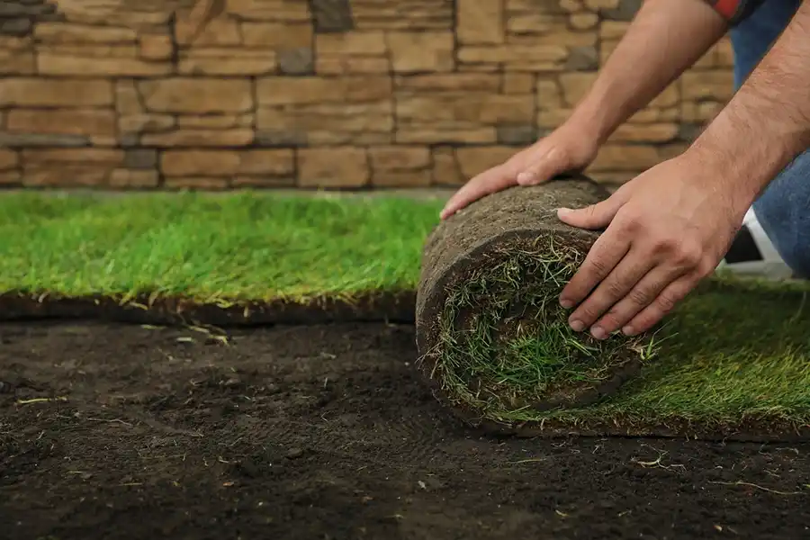 Reliable Sod Installation in Trenton, NJ