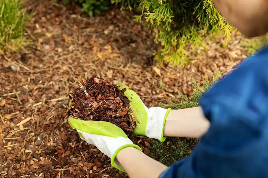 What does mulch do in Trenton, NJ