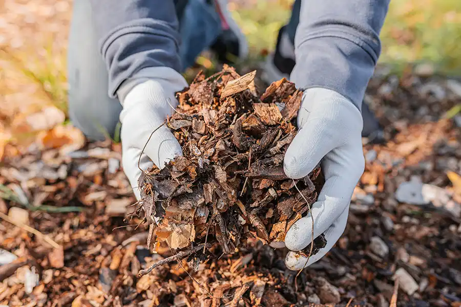 What does mulch do Trenton, NJ