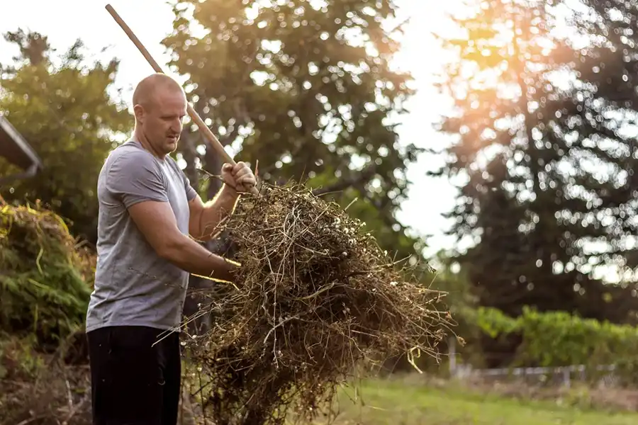 Efficient Yard cleanup in Trenton, NJ