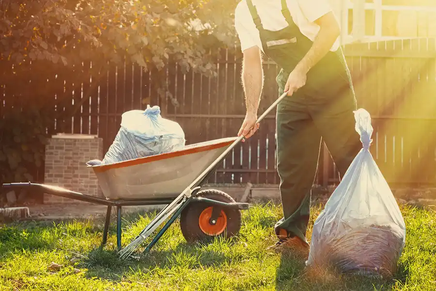 Best Yard cleanup in Trenton, NJ